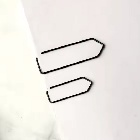 Black Flag Paperclips Set of 2